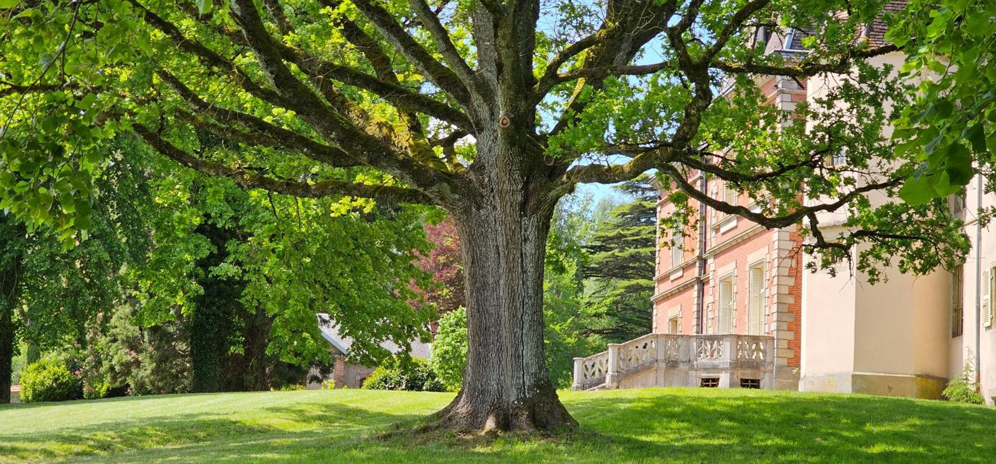 Couches Chateau De Montpatey Bed & Breakfast エクステリア 写真